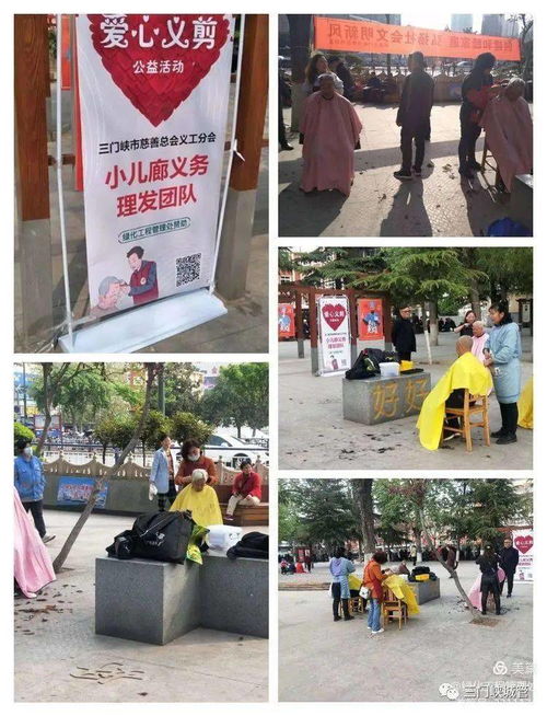 市綠化工程管理處 學(xué)黨史辦實(shí)事，優(yōu)化工程管理服務(wù)惠民生